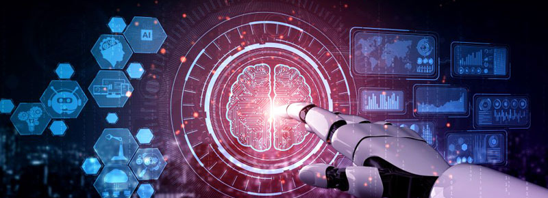 Training the Brain